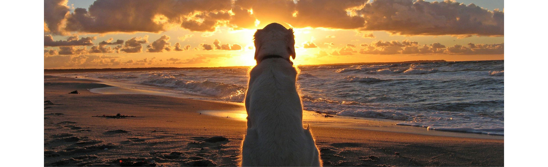 To Travel With Heart To Serve With Love1